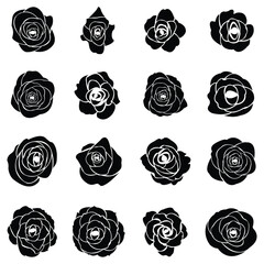 Black silhouette of rose - obrazy, fototapety, plakaty