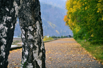 город осень