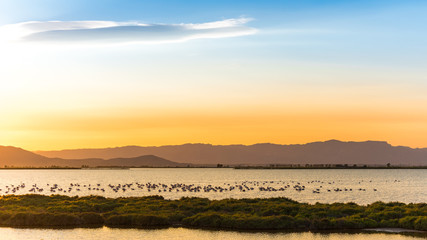 Sunset at the mouth of the Ebro Delta and wetlands, Tarragona, Catalonia, Spain. Copy space for...