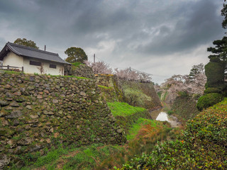 Castle moat and wall