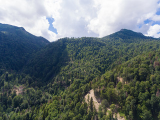 Naklejka premium Summer mountain landscape. Forested mountains and clouds.