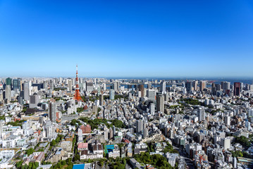 Fototapeta premium 東京の都市風景 日中