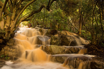 The cascade at the waterfalls, Silvermine Nature Reserve, Cape Town, after heavy rain