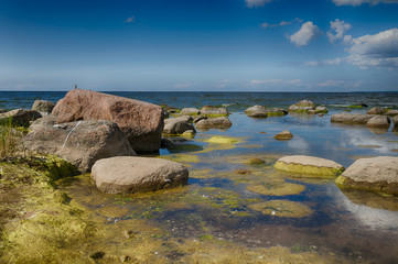 Fototapeta na wymiar Baltic sea coast in summer vacation