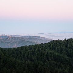 Forested mountain with foggy hills in the backgroun