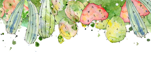 Tropical cactus arrangements, borders, frames watercolor cacti print  © EvgeniiasArt