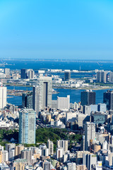 Fototapeta premium 東京の都市風景 日中