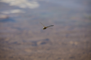 Trial Lake