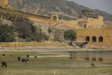 Amber Fort in Jaipur, Rajasthan, India