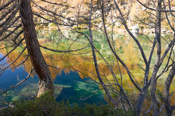 Mountain lake larches reflection in sunny autumn fall day outdoor.