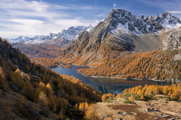 Scenics dam lake landscape with larches forest on mountain in sunny autumn fall day outdoor.