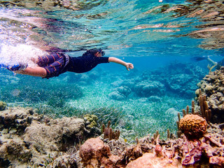 Underwater image of boy snorkeling through coral reef near Ambergris Caye, Belize - obrazy, fototapety, plakaty