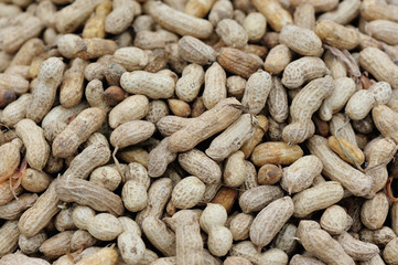 fresh peanuts