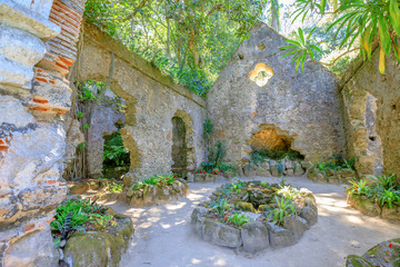 Ruins of chapel covered by vegetation in Monserrate Park, on the hills above Sintra, Lisbon,...