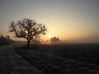 Winterlicher Sonnenaufgang