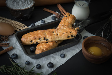 Bread with chocolate and fresh blueberry