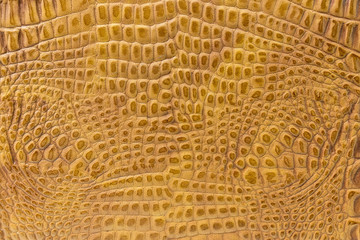 texture of the skin yellow