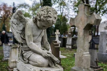 Cmentarz,groby,pomniki. Święto zmarłych