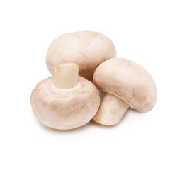 Champignon on an isolated white background 