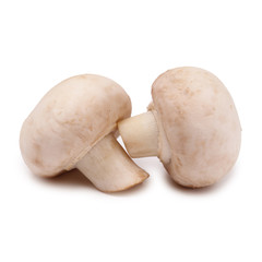 Champignon on an isolated white background 