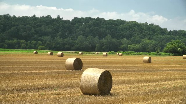 Big Straw roll lying in the farm at Hokkaido, Japan