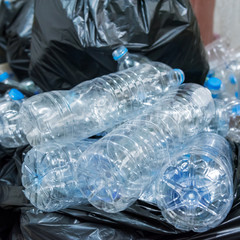 Plastic bottles in black garbage bags waiting to be taken to recycle.