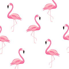 Fototapeta premium Bezszwowe tło wzór flamingo. Projekt plakatu Flamingo. Tapeta, zaproszenia, tekstylny druk wektorowy ilustracyjny projekt