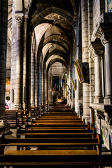 Le collégiale Saint Salvi d'Albi