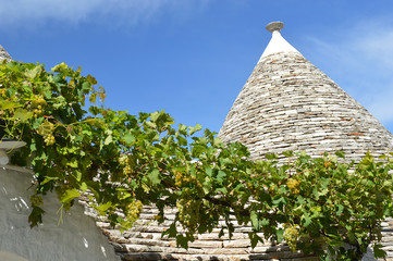 Alberobello, trullo roof with grapes