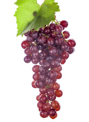 Grapes on a white background