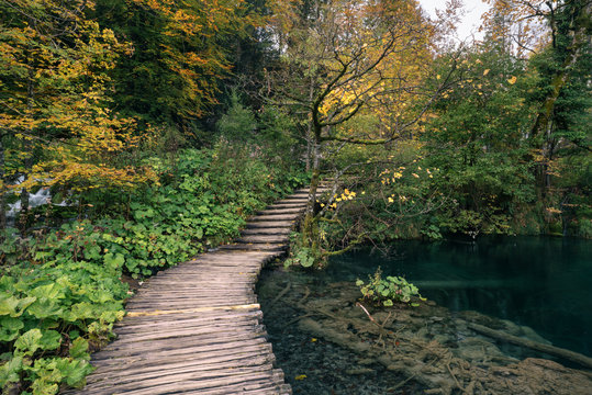 Deep forest stream with crystal clear water with wooden pahway. Plitvice lakes, Croatia UNESCO world heritage site © naumenkophoto