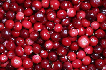 Red ripe cranberries background