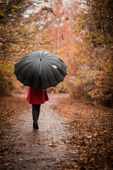 Fashionable girl with an umbrella in the rain walking along the autumn park