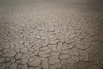 Crack soil on dry season.