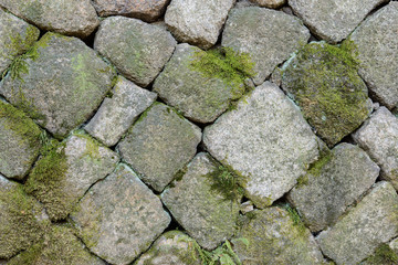 Close up of stone wall background with moss and creeper