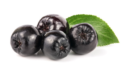 Chokeberry with leaf isolated on white background. Black aronia berries