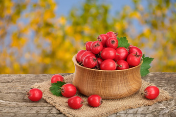 Hawthorn berry with leaf in a bowl on wooden table with a blurry garden background