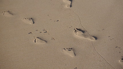 child and adult foot prints on sand