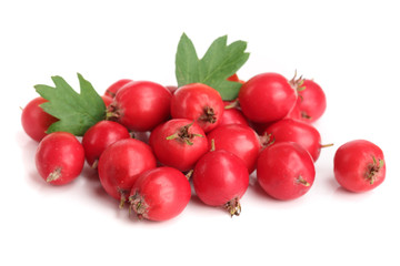 Hawthorn berry with leaf isolated on white background close-up