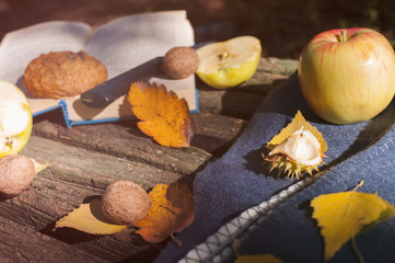 Autumn background with plaid, book, yellow leaves, cookies, yellow apples and chestnuts