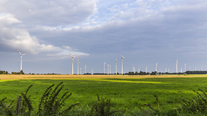 windturbine on a field