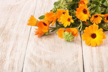 Calendula officinalis. Marigold flower with leaf on white wooden background with copy space for your text