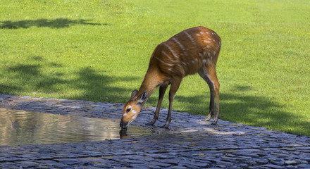 Durst © Johann Pavelka