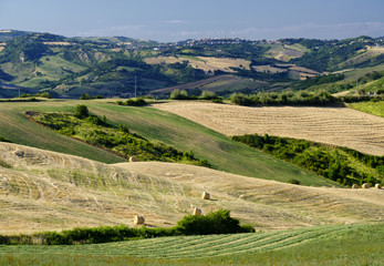 Landscape in Romagna at summer: fields