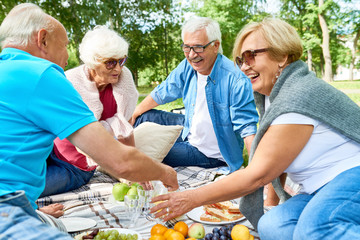 Joyful group of seniors having picnic at sunny green park: they chatting animatedly with each other...