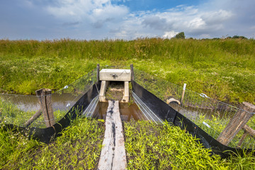 Square Wildlife crossing culvert underpass with gangplank