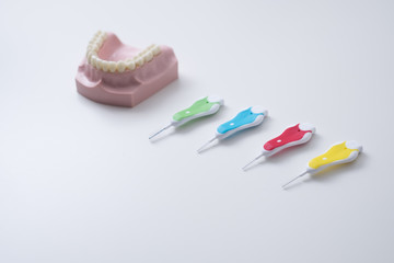 Gum disease prevention education tools: interdental / interproximal tooth brushes and plastic mouth model on a white background