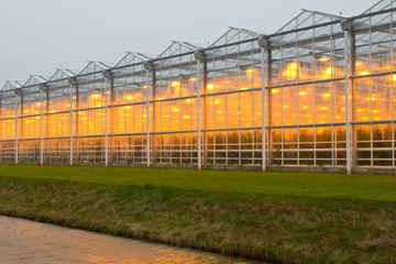Obraz premium commercial greenhouse