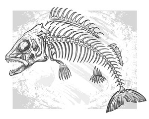 fishbone drawing
