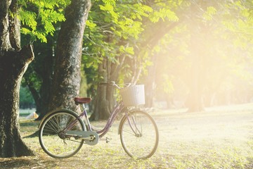 Fototapeta na wymiar Old bike in the park with sunrise.